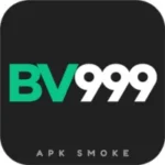 BV999 Game