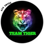 Team Tiger